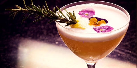 Alibi Cocktail Lounge Aria