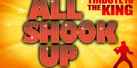 All Shook Up Alexis Park