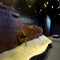 Titanic: The Artifact Exhibition 3