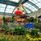 Bellagio Conservatory & Botanical Gardens 1