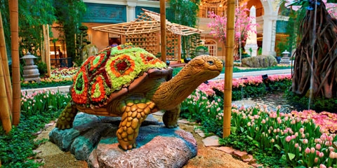 Bellagio Hotel Las Vegas - Deals & Info | Las Vegas Advisor