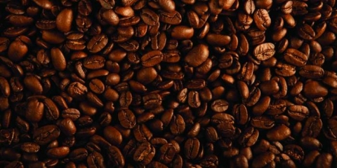 Club Cappuccino Flamingo Las Vegas