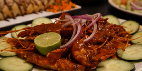 Culichi Town Fiesta Rancho