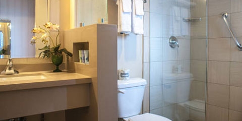 Do any Las Vegas hotels have hand-held showers in their rooms?  