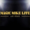 Magic Mike Live Las Vegas 0