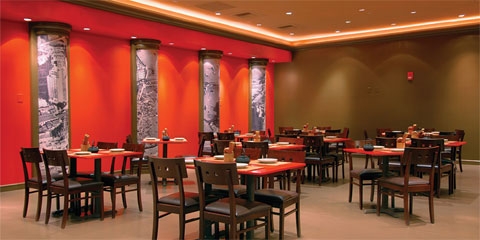 Noodle Exchange Gold Coast