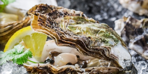 Oyster Bar Off Strip