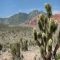 Red Rock Canyon 6