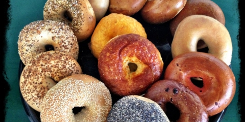 Bagel Corner Suncoast