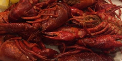 Medley Buffet Orleans