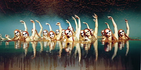 O by Cirque du Soleil® Bellagio