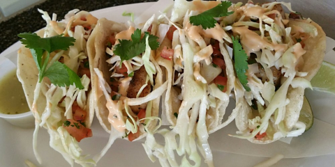 Solaro by Wolfgang Puck Palazzo