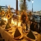 Sunset & Vines 1