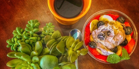 Violette's Vegan Off Strip