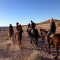 Wild West Horseback Adventures 3