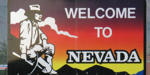 Can you compare the vital statistics of Nevada's Clark County to Washoe County?