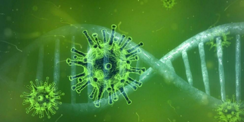 What are all the advantage players doing now that all the casinos are closed? 