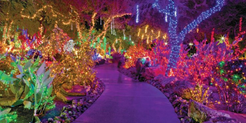 Merry Christmas 2019!