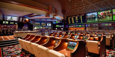 What sport books are taking bets on the 2020 president election and when?