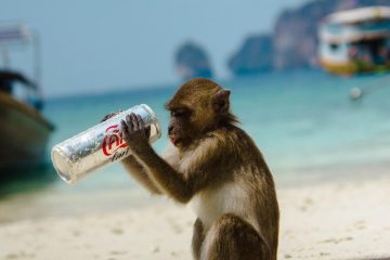 Keep Points and Miles From Expiring