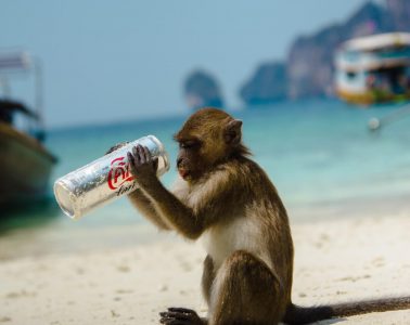 Keep Points and Miles From Expiring