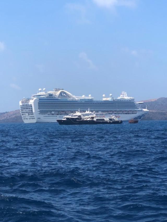 emerald princess cruise line travel agent