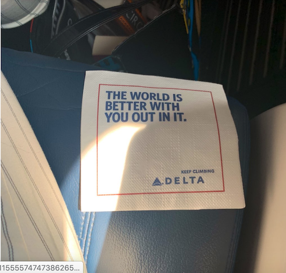 delta inflight napkin