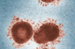 coronavirus (COVID-19) - what airlines saying