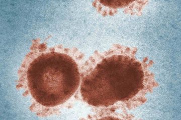 coronavirus (COVID-19) - what airlines saying