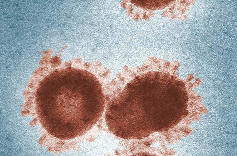 coronavirus (COVID-19) - what airlines saying